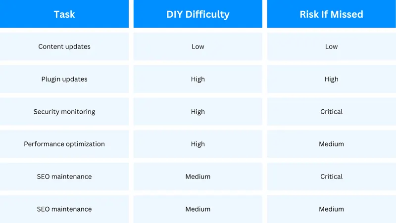 DIY vs. Professional Website
